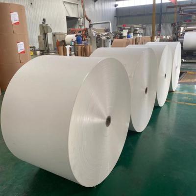 China Film Lamination 260g Waterproof Coated Paper Cup Roll Double PE for sale