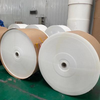 China Coated To Waterproof Paper Cup Roll 280gsm Biodegradable for sale