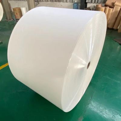 China Single Sided 210+18gsm PE Coated Paper Raw Material For Paper Cups for sale