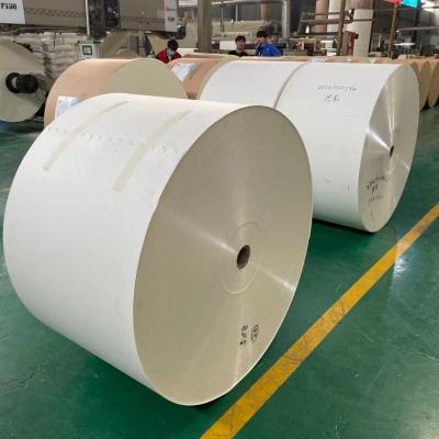 China La compensación PE laminó el rollo flexográfico de papel de la taza de papel 230gram en venta