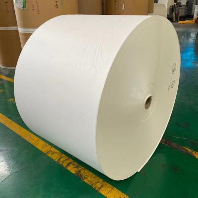 China 12oz Hot Paper Cup Bottom Roll 350gsm Wood Pulp Raw Material for sale