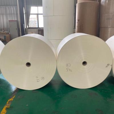 China El PE laminó el rollo máximo de papel común del papel cubierto de la taza 1200m m en venta