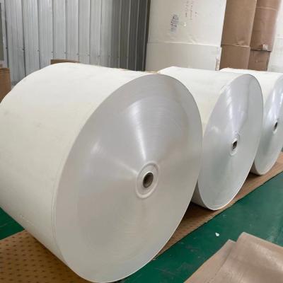 China Virgin branco da folha 100 do papel de marfim 190g-310g nenhum da polpa de madeira impresso à venda