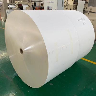 China El papel de tablero anti del rizo 210gsm FBB en rollo sin el PE cubrió en venta