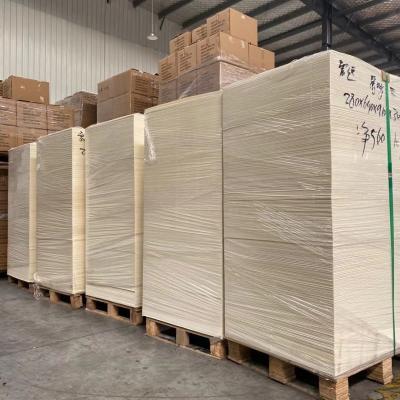 China Papel revestido disponible del PE en la taza de papel de la materia prima de la hoja en venta