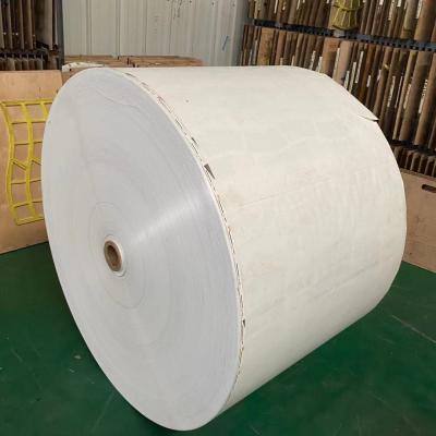 China el doble PE de 185G 190G cubrió el rollo de papel revestido plástico de papel en venta