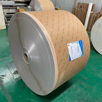 China 18G Double PE Coated Paper Roll Good Stiffness Food grade for sale