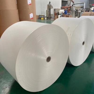 China papel de papel disponible de Cupstock de la tiesura 6 del rollo de 190gsm 210gsm en venta