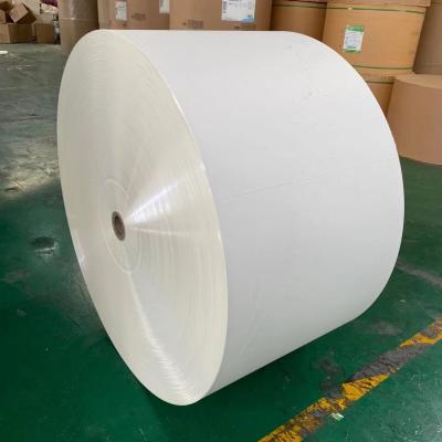 China El solo doble PE laminó la taza de papel que hacía la materia prima 330gsm en venta