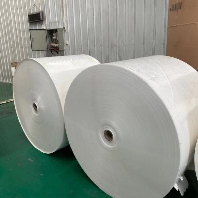 China Offset-280G riesiger Papiertee-Schalen-Rohstoff des rolleneco Papier zu verkaufen