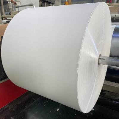 China riesige Papierrolle 150gsm-350gsm zu verkaufen