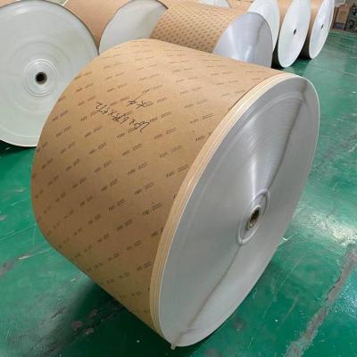 China Des PET Beschichtungs-260GSM Breite Tunnel-bohrwagenpapierrollen600mm-1300mm zu verkaufen