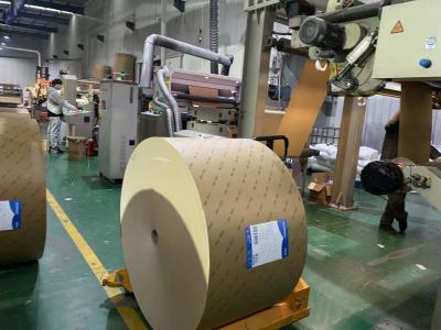 China El PE respetuoso del medio ambiente cubrió el rollo de papel del OEM Kraft en color natural en venta