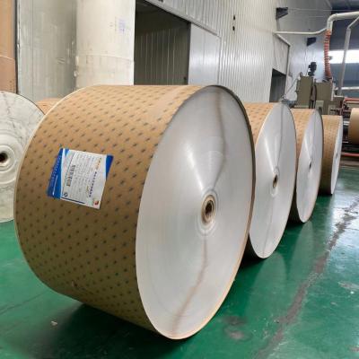 China Food Grade PE Coated Paper in Roll 300gsm Raw Material For Paper Cup Making for sale