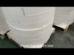 Single And Double Cup Stock Paper Cup Bottom Roll