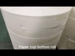 Paper Cup Bottom Roll Raw Material For Paper Cup