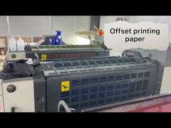 260gsm Flexo Or Offset Printing And Cutting Coffee Paper Cup Fan In Roll