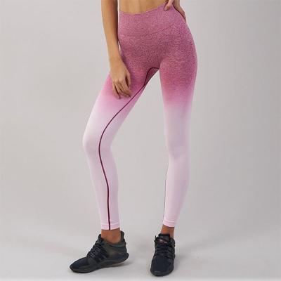 China Antibacterial High Elastic Nylon Tight Workout Sports Gym Leggings for sale