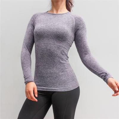 China Retail QUICK DRY Gym Fitness Round Neck Long Sleeve Sweatshirt For Women for sale