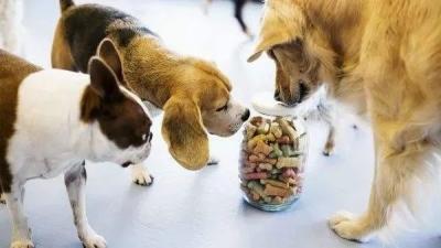 China DDC Aditivos para alimentos para perros y gatos Aromatizante para alimentos para perros 20 kg/bolsa en venta