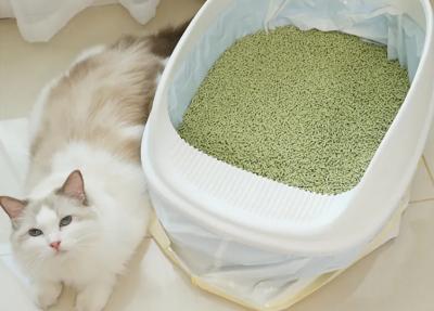 China Langlebiger Katzenmüll mit verbessertem Geruchskontrolle 25 kg Verpackung zu verkaufen