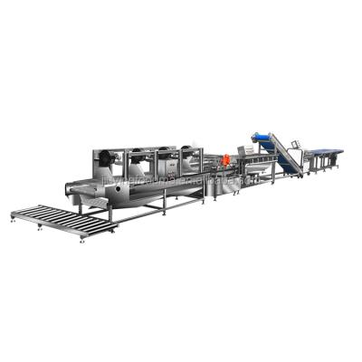 China Professional Vegetable Processing Plant Manufacturer Vegetable and Fruit Processing Machinery /Frozen Vegetable Processing Line for sale