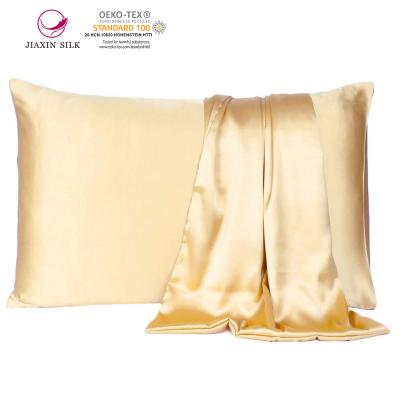 China Anti-bacteria Anti-bacteria Silver Ion Natural Silk Pillowcase 16/19/22 Momme For Hair Skin Hidden Zipper Closure Hypoallergenic Pillow Case for sale