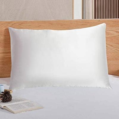 China Wholesale Available Rich 100% Colors Anti-puffiness 19 momme silk pillowcase with protect your hair in the evening for sale