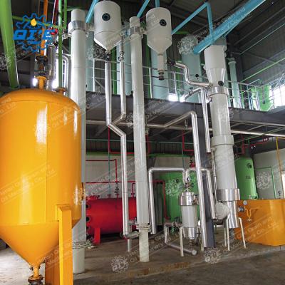 China Factory 30 Rotary Sesame Oil Extractor Machinery 100tpd Sesame Seed Oil Extraction Machine for sale