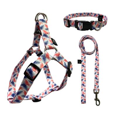 China Factory Wholesale Hot Sale Padded Custom Logo Dog Collar And Leash Harness Set, Soft Hunting Dog Collar Leash Harness for sale