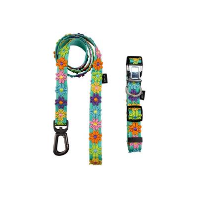 China Custom Padded Personalized Design Strong Dog Collar And Leash for sale