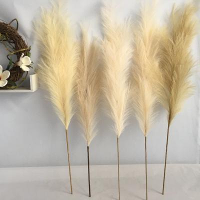 China Contemporary Customized Boho Style Decoration Artificial Flowers Rustic Fluffy Dry Pampas Grass Great For Wedding Decor for sale