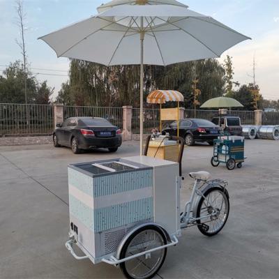 China 100 kg Classic Ice Cream Bike Fast Food Trailer Truck Driewieler voor kruidenfabriek Te koop