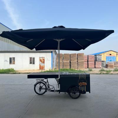 China 220V/110V Three Wheel Cart OEM Coffee Foldable Street Tricycle waffle crepe Cargo Bike for sale