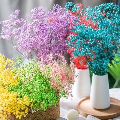 China Beautiful Various Color Natural Gypsophila Preserved Flower Gift Colorful For Girlfriend Wedding Decoration 110g for sale