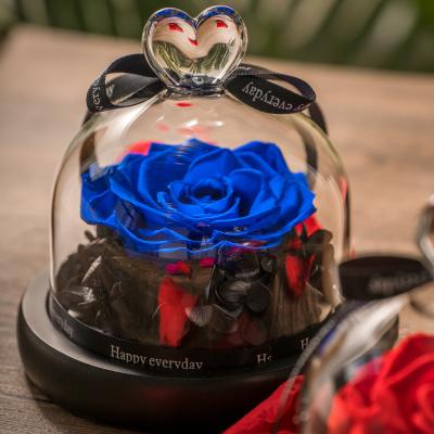 China Real and Natural Dymalo Best Touch Christmas Gift Roses Stabilized Preserved Flower Eternal Rose in Glass Dome for sale