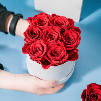 China Preserved Natural Touch Rose Gift Boxed Flower Arrangement Low Price Preserved Red Everlasting Flower Head for sale