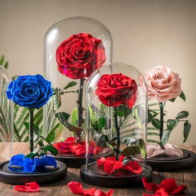 China Gifts Factory Supply Led Light Glass Dome With Preserved Flower Rose Perfect Birthday Teachers Day Valentines Day Gifts for sale