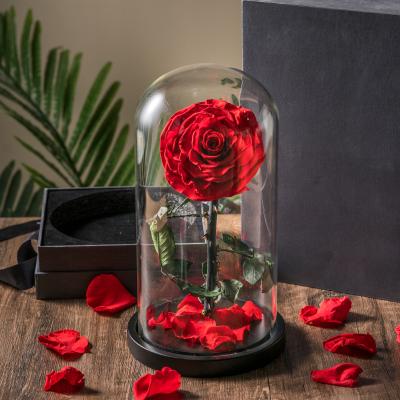 China Wholesale Gifts Eternal Rose Real In Led Light Glass Dome High Quality Preserved Rose Perfect Birthday Valentines Day Gifts for sale