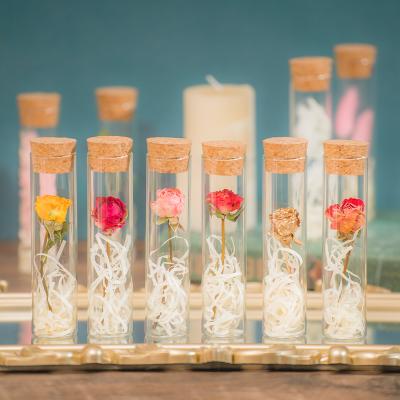 China Wholesale Decorations Beautiful Dry Flower In Glass Tube For Gifts Home Decorative Preserved Flower for sale