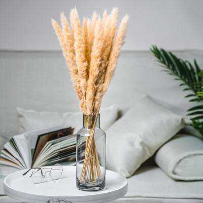 China Natural Touch Free Sample Beige Pampas Grass Flower Small Dry Grass For Party Decorations Home Decoration for sale