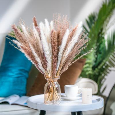 China Free Sample Pampas Grass Bouquet Decorations Dry Flower Bouquet Wedding Decoration Decorative Flowers and Garlands for sale