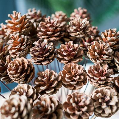 China Wedding Flower Arrangements Plant Supply Natural Brown Pine Cone With Stem Dried Flower Plant Fruit Christmas Ornaments For Home Decoration for sale