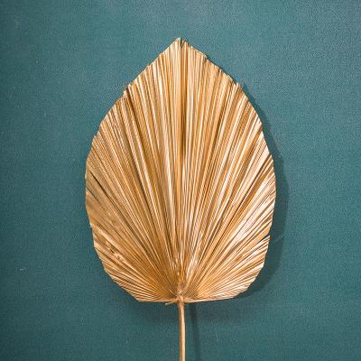 China Wholesale Bouquet Hand Fan Gold Color Palm Dried Palm Leaves Preserved Flower Eternal Flower For Wedding Decoration Home Decoration for sale