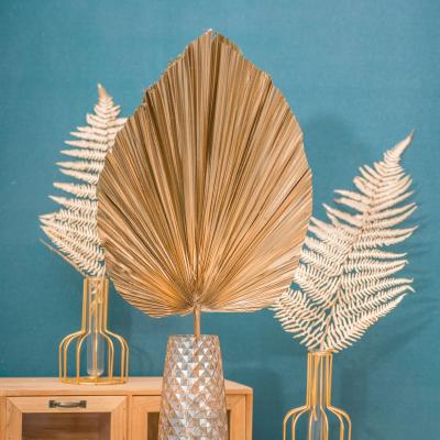 China Factory Supply Wholesale Hand Fan Palm Gold Color Dry Palm Leaves Preserved Flowers For Wedding Decoration Home Decoration for sale