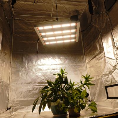 China Seed Starting LM30lh Diodes Waterproof IP67 Aluminum Panel Top Sale 100w 200watt Dimmable Grow Lights For Indoor Plant Greenhouse Grow Tent for sale