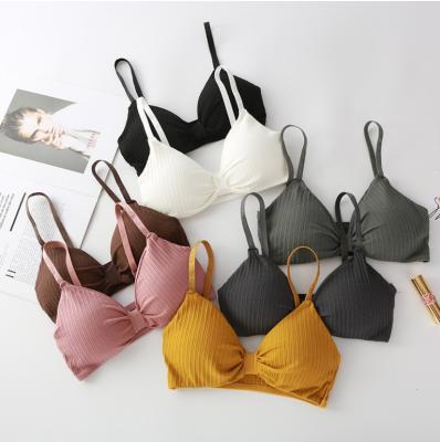 China Other One Size Yoga Bra Women's Seamless Cotton Seamless Adjustable Bra for sale