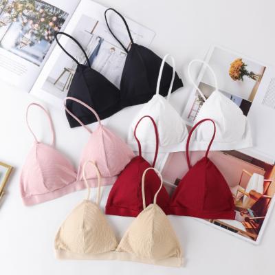 China Simple Breathable Plain Color Invisible Steps Triangle Ribbed Seamless Elastic Bralette Spaghetti Strap Padded Bra Brasier Sin Costura for sale