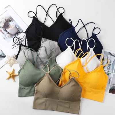 China Custom Daily Sports Bralette Breathable French Strap Bra Women Beach Padded Top Plus Size Fashion Ladies Bralettes for sale