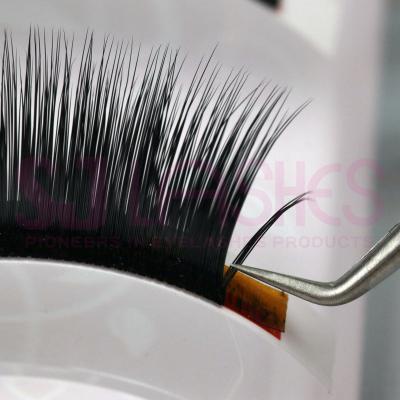 China Delicate Prime Silk Cashmere Eyelash Extension 0.03/0.05/0.07/0.10/0.12/0.15/0.18/0.20/0.25/0.30 Thickness Silk Eyelashes for sale